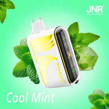 JNR Capsule 2% Disposable 15000 Puffs